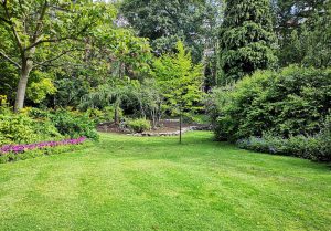 Optimiser l'expérience du jardin à Chateauneuf-de-Gadagne